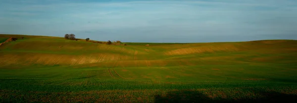 Bardzo Duża Panorama Pięknie Pofałdowanych Pól Morawskich — Zdjęcie stockowe