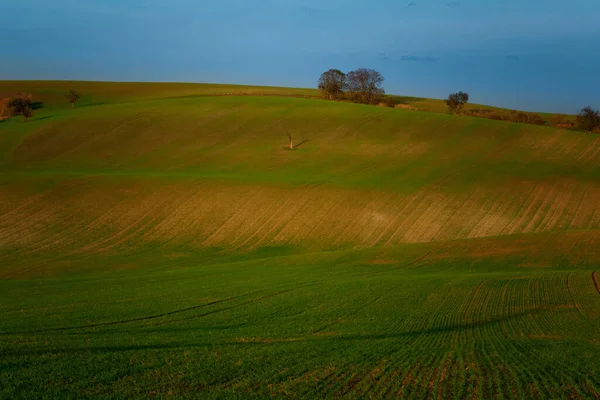 Maravilhosas Paisagens Outono Campos Morávios Hora Ouro — Fotografia de Stock