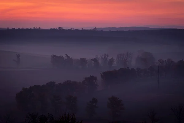 Prachtige Moravische Velden Met Lanen Van Bomen Gehuld Ochtendmist — Stockfoto