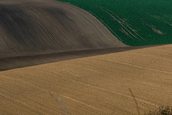 Bellissimo Paesaggio Aspro Campi Arati Della Moravia Nella Stagione Autunnale — Foto Stock