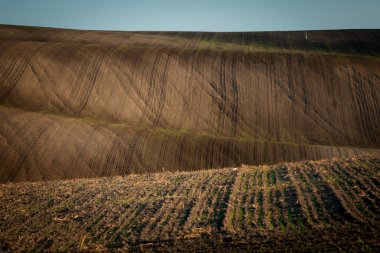 Sonbahar mevsiminde sürülen Moravya tarlalarının güzel sert manzarası