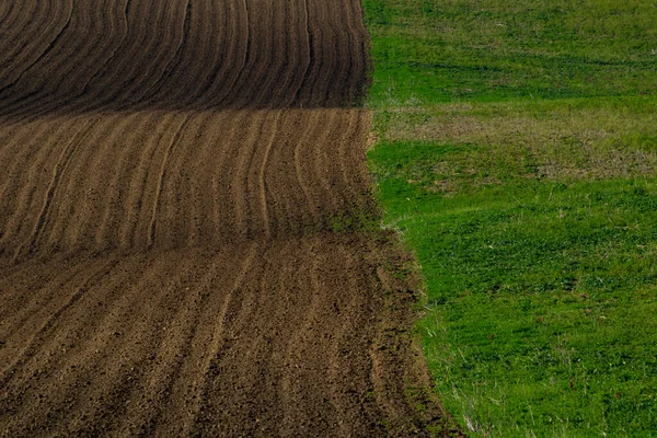 Paesaggi Moravi Campi Ondulati Con Una Ricchezza Colori — Foto Stock