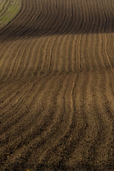 Moravische Landschappen Van Golvende Velden Met Een Schat Aan Kleuren — Stockfoto