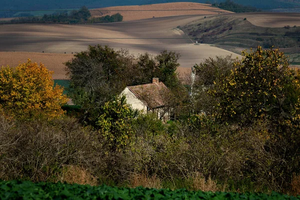 Casa Está Escondida Bosques Moravia Entre Campos — Foto de Stock