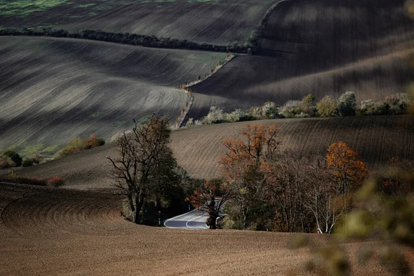 Straße Durch Schöne Mährische Felder Zur Herbstzeit — Stockfoto