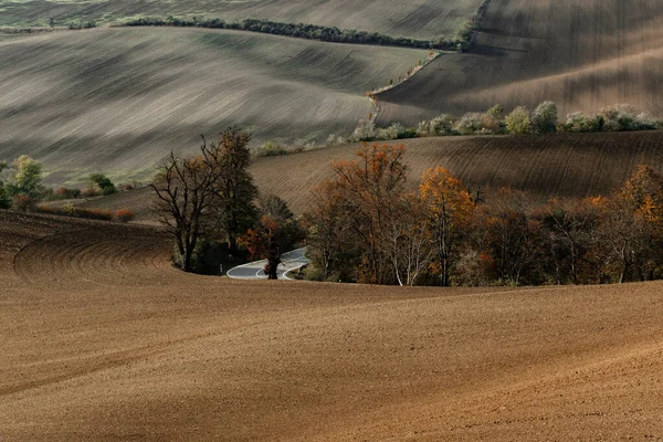 Дорога Проходящая Через Красивые Моравские Поля Осенью — стоковое фото