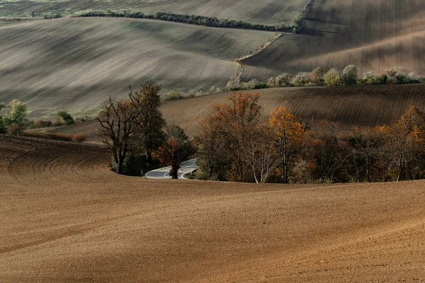 Strada Che Attraversa Bellissimi Campi Della Moravia Autunno — Foto Stock