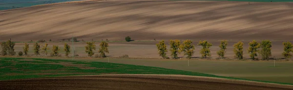 Panorama Muy Grande Campos Moravia Bellamente Ondulados —  Fotos de Stock