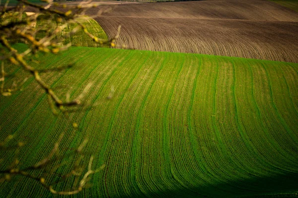 Wonderful Landscapes Autumn Moravian Fields Golden Hour — Stock Photo, Image