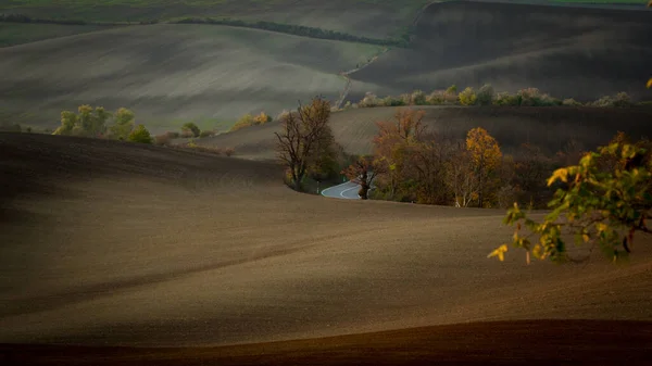 Дорога Проходящая Через Красивые Моравские Поля Осенью — стоковое фото