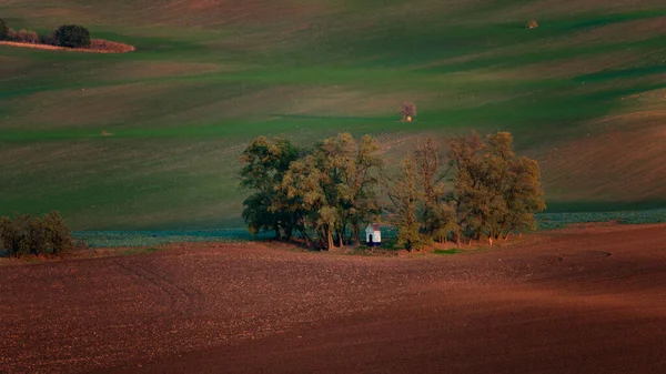 Uma Capela Meio Belos Campos Morávios — Fotografia de Stock