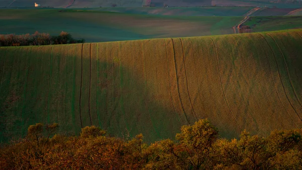 Wspaniały Poranek Morawskich Polach Jesienią Piękne Kolory — Zdjęcie stockowe