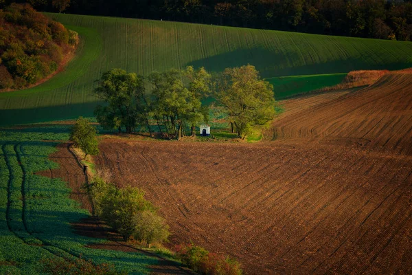 Una Capilla Medio Hermosos Campos Moravia — Foto de Stock