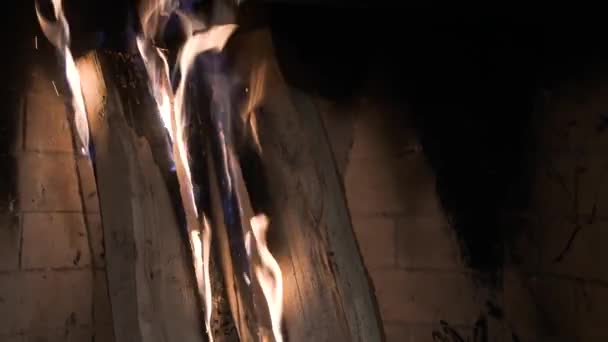 Stack of wood logs burns in brick fireplace. tongues of yellow and purple flame — 비디오