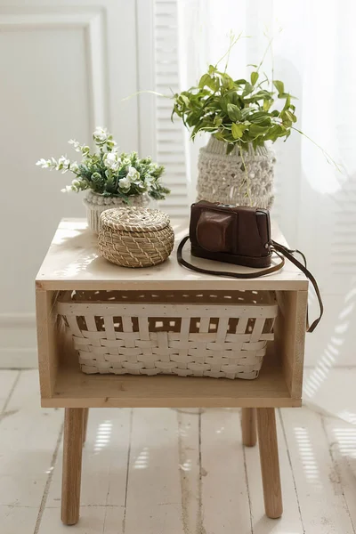 Wohnraumdekoration mit grünen Pflanztöpfen, Korb und Fotokameraetui auf einem Tisch. Gemütliches Innenraumkonzept — Stockfoto