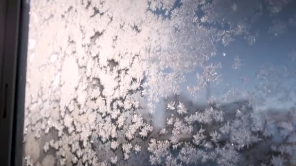 Hoarfrost cristais de gelo em vidro janela espumante no nascer do sol de inverno. flores geladas — Vídeo de Stock