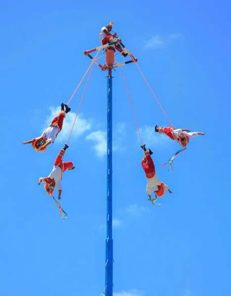 Tulum, Quintana Roo / Mexico - 21 Mayıs 2017 Papantla broşürleri performansı, Meksika kültürü konsepti 