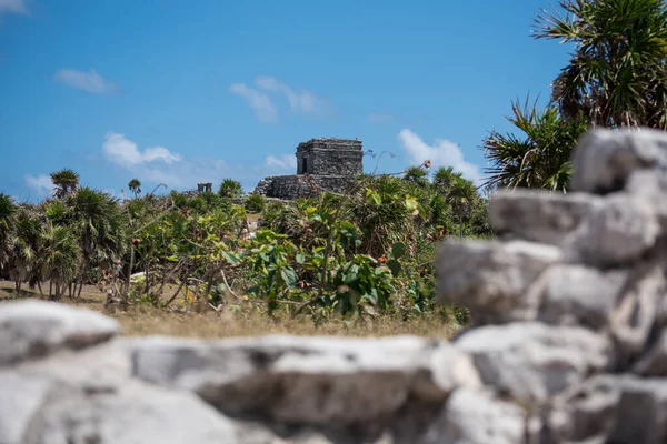 mayan culture concept in Tulum