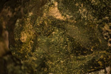 Arka planda güzel yeşil yosun var, kapatın.