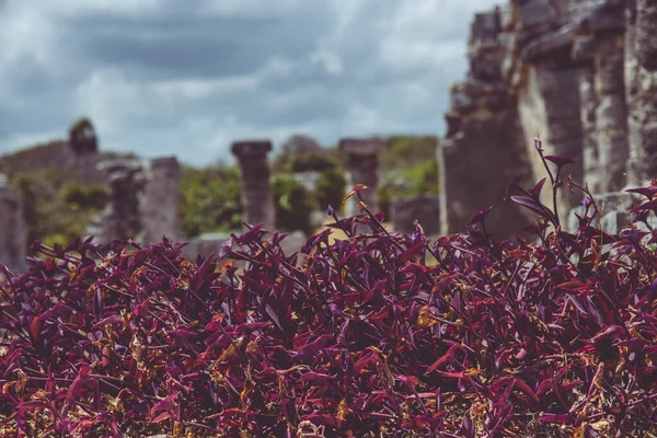 Tulum 'da Maya kültürü kavramı