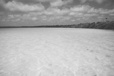 Gizli bir hazine muhtemelen Tulum 'un en çekici yerlerinden biri olan Laguna Kaan Luum için en iyi tanımdır ama aynı zamanda dünyanın en büyüleyici yerlerinden biridir..