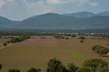 Cactaceae botanik bahçesi, Cadereyta de Montes, Queretaro, Meksika