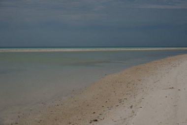 Güzel Meksika Karayip Adaları Sahili, Holbox, Temiz Su Sahili