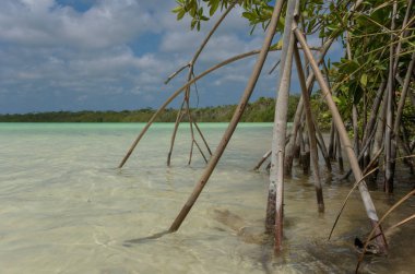 Laguna Kaan Luum suyun eşsiz bir rengiyle karakterize edilir.