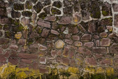 Islak ve yosunlu merdivenler, Meksika 'daki Otomi merasim merkezinin duvar dokusu.