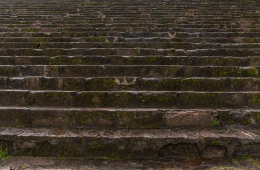 Islak ve yosunlu merdivenler, Meksika 'daki Otomi merasim merkezinin duvar dokusu.