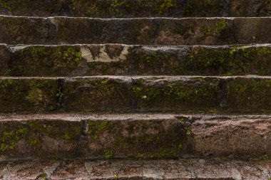 Islak ve yosunlu merdivenler, Meksika 'daki Otomi merasim merkezinin duvar dokusu.