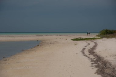 Güzel Meksika Karayip Adaları Sahili, Holbox, Temiz Su Sahili