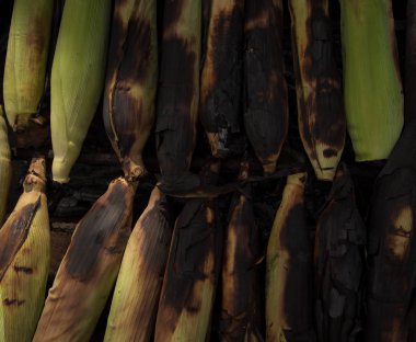 Kömürde kavrulmuş Meksika mısırı, geleneksel yemek.