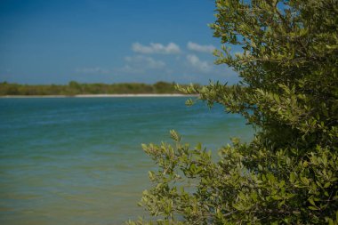 beautiful Holbox Beach in Mexico