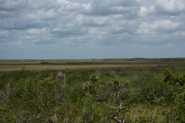 Güzel Meksika Adası, Holbox