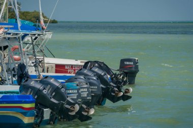 Holbox, Quintana Roo, Meksika / - Haziran 2017 Adanın ana sanayi balıkçılığı henüz tam turistik değil. Balina köpekbalığı görüntüsü şeklinde büyüyen turizm endüstrisi