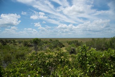 Güzel Meksika Adası, Holbox