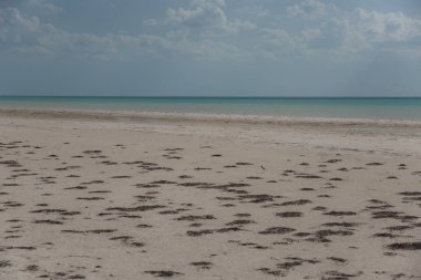 Güzel Meksika Karayip Adaları Sahili, Holbox, Temiz Su Sahili