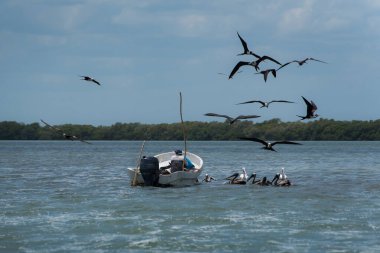 Holbox, Quintana Roo, Meksika / - Haziran 2017 Adanın ana sanayi balıkçılığı henüz tam turistik değil. Yum Balam Biyosfer rezervinin bir parçası