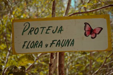 Kaan Luum Lagoon, Tulum, Riviera Maya / Mexico - Apr 2017 New sign to improve Place safety and protect animals, illustrative clipart