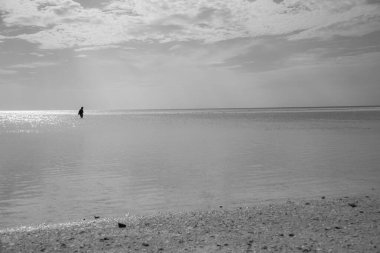 Güzel Meksika Karayip Adaları Sahili, Holbox, Temiz Su Sahili
