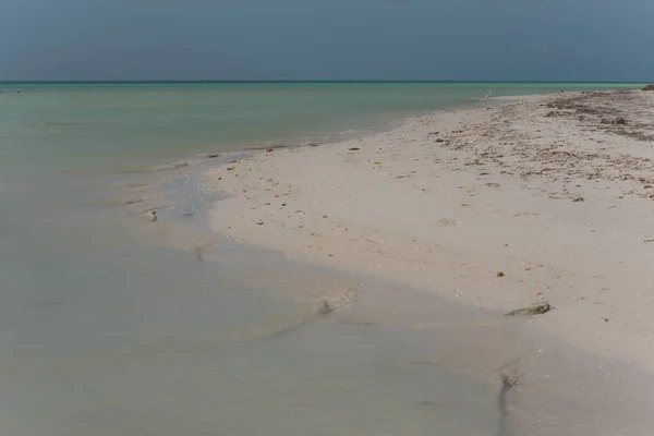 Hermosa Playa Isla Caribeña Mexicana Holbox Playa Agua Clara —  Fotos de Stock