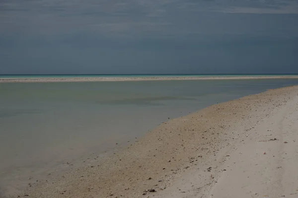 Hermosa Playa Isla Caribeña Mexicana Holbox Playa Agua Clara — Foto de Stock