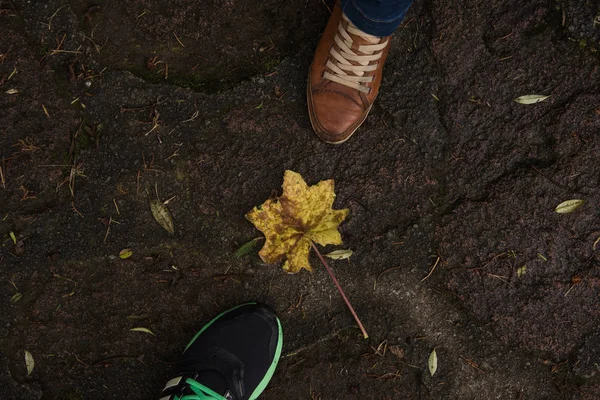 Vista Superior Dos Zapatos Una Pareja Una Planta Amarilla Suelo — Foto de Stock