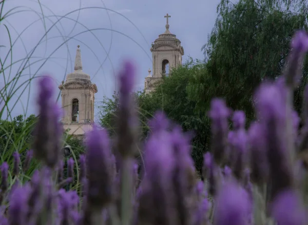 Türme Der Basilika Soriano Colon Mexiko Von Lavendelblüten Aus Gesehen — Stockfoto