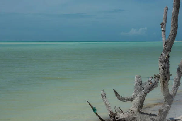 Fotografía Panorámica Del Paisaje Tomada Hermosa Playa Isla Caribeña Mexicana — Foto de Stock