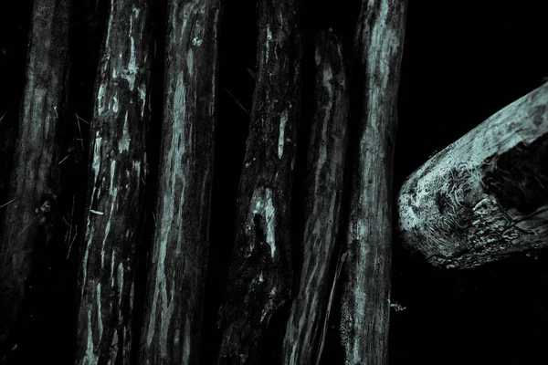 Old wood cut branches on the background of a fallen fence. Black and white.