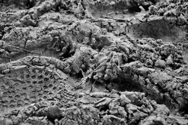 Dried mud with different prints black and white.
