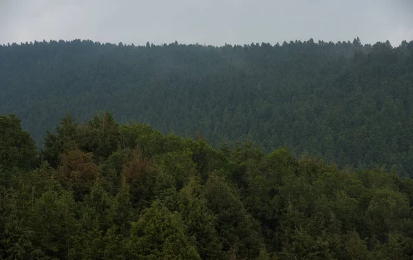 National Park State Mexico Central Mexico — 스톡 사진