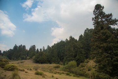 La Marquesa Ulusal Parkı (İspanyolca: 